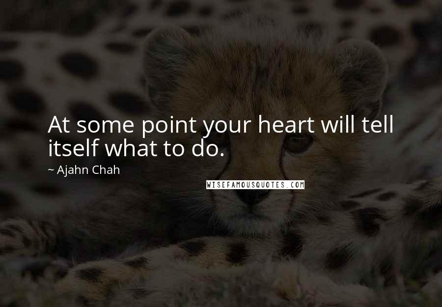 Ajahn Chah Quotes: At some point your heart will tell itself what to do.