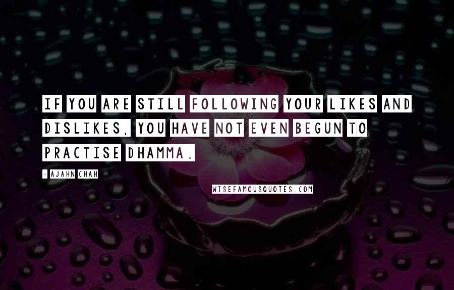 Ajahn Chah Quotes: If you are still following your likes and dislikes, you have not even begun to practise Dhamma.