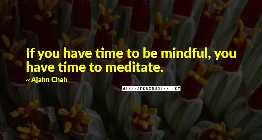 Ajahn Chah Quotes: If you have time to be mindful, you have time to meditate.