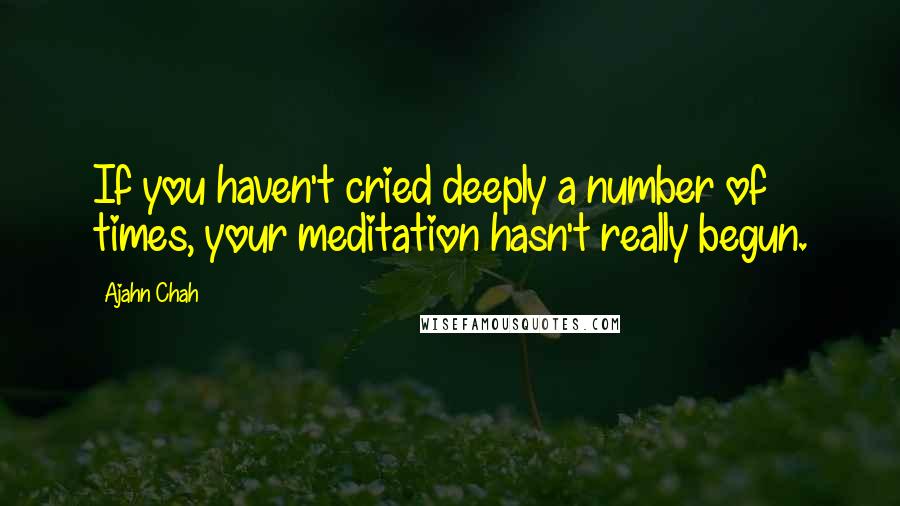 Ajahn Chah Quotes: If you haven't cried deeply a number of times, your meditation hasn't really begun.