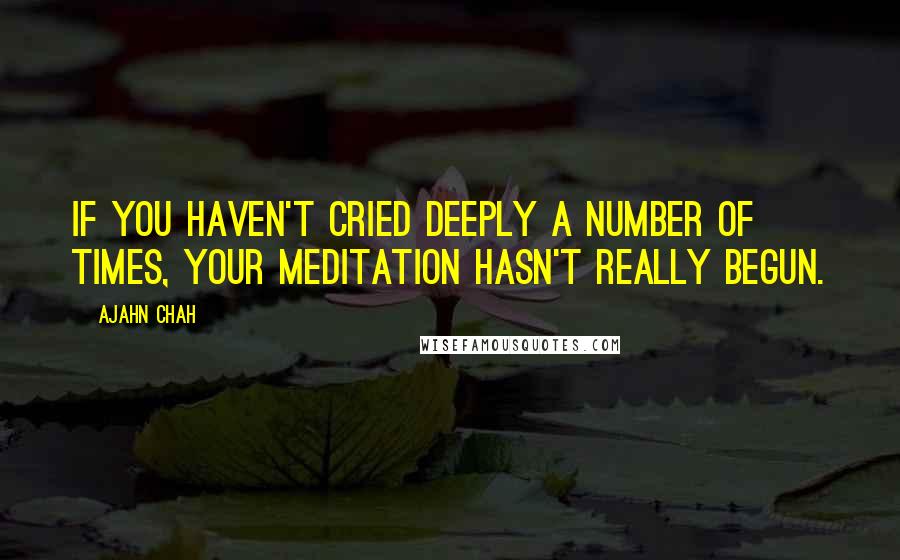 Ajahn Chah Quotes: If you haven't cried deeply a number of times, your meditation hasn't really begun.