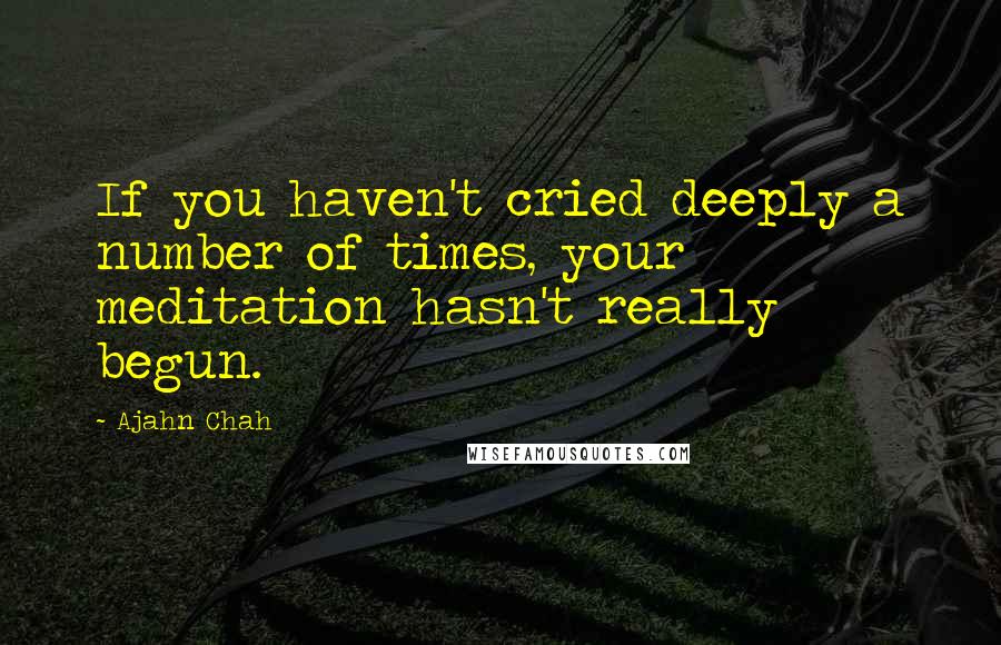 Ajahn Chah Quotes: If you haven't cried deeply a number of times, your meditation hasn't really begun.