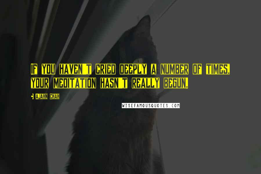 Ajahn Chah Quotes: If you haven't cried deeply a number of times, your meditation hasn't really begun.