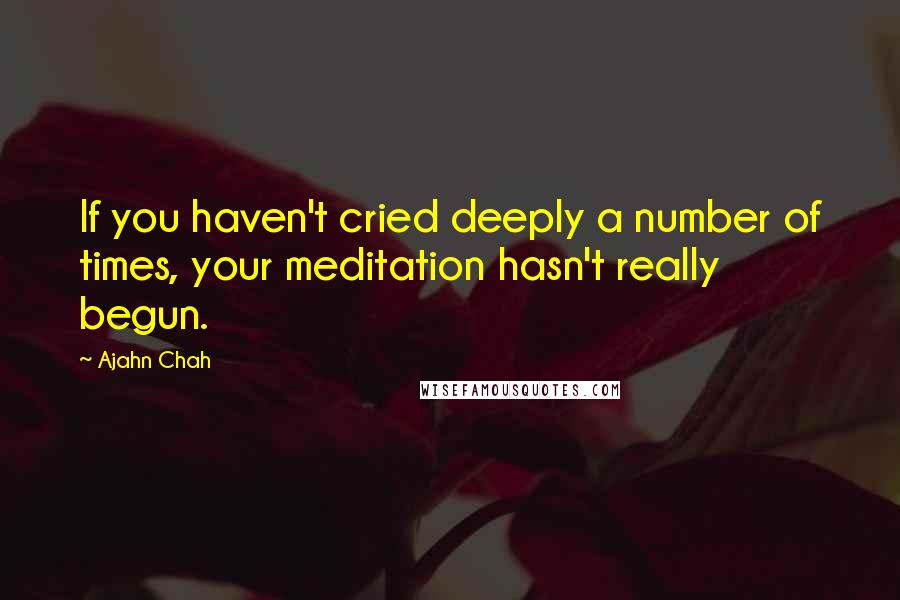 Ajahn Chah Quotes: If you haven't cried deeply a number of times, your meditation hasn't really begun.