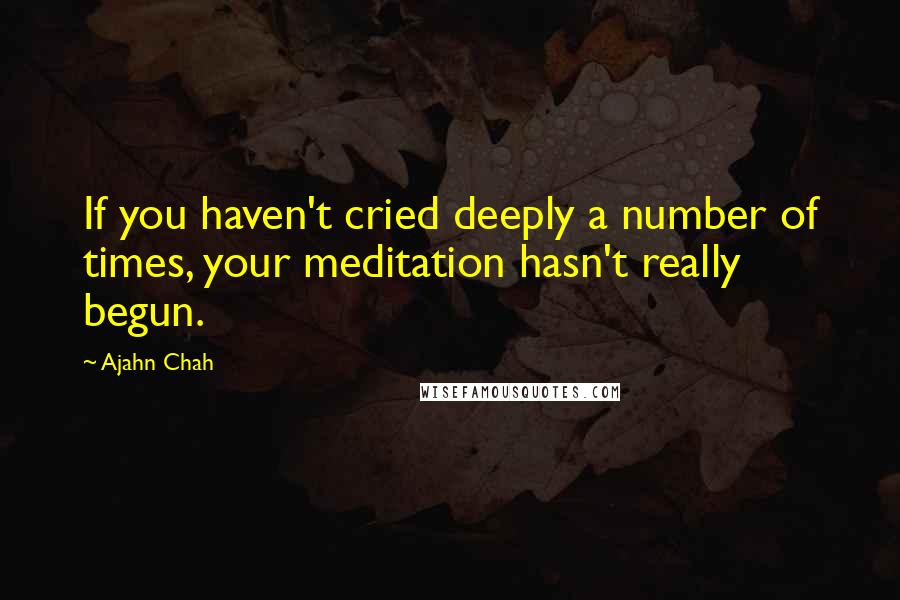 Ajahn Chah Quotes: If you haven't cried deeply a number of times, your meditation hasn't really begun.