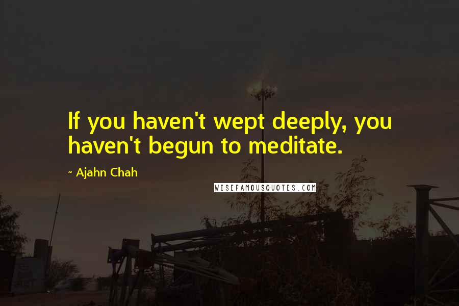 Ajahn Chah Quotes: If you haven't wept deeply, you haven't begun to meditate.