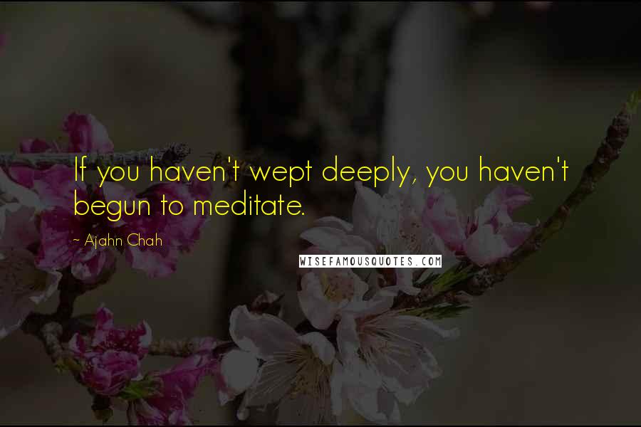 Ajahn Chah Quotes: If you haven't wept deeply, you haven't begun to meditate.