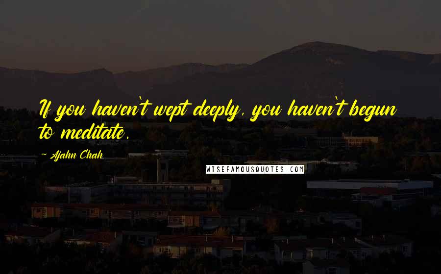Ajahn Chah Quotes: If you haven't wept deeply, you haven't begun to meditate.