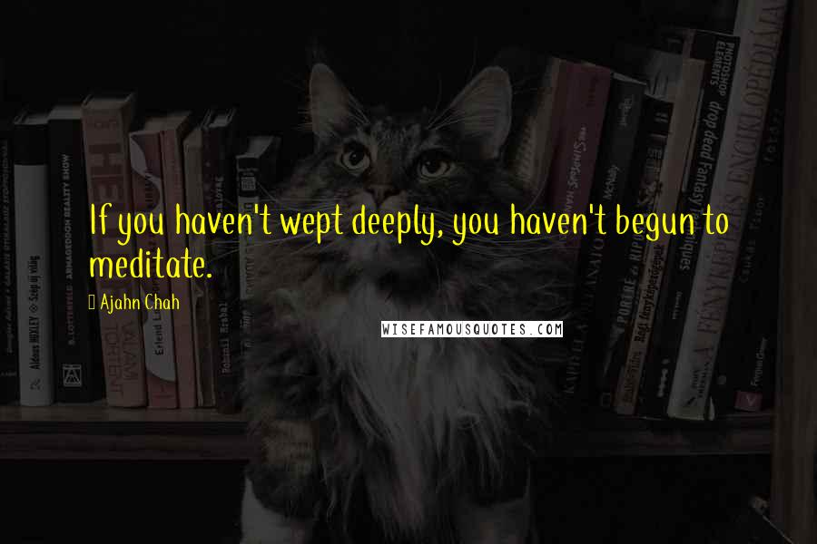 Ajahn Chah Quotes: If you haven't wept deeply, you haven't begun to meditate.