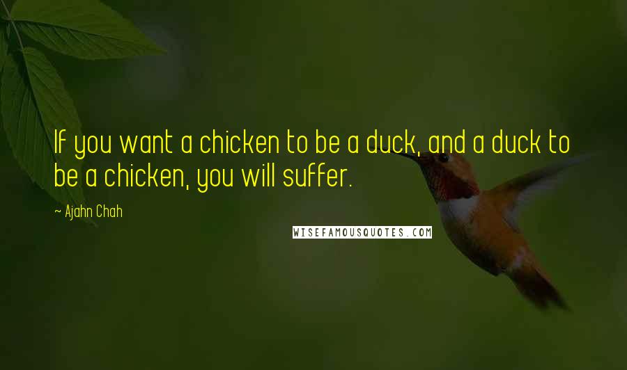 Ajahn Chah Quotes: If you want a chicken to be a duck, and a duck to be a chicken, you will suffer.