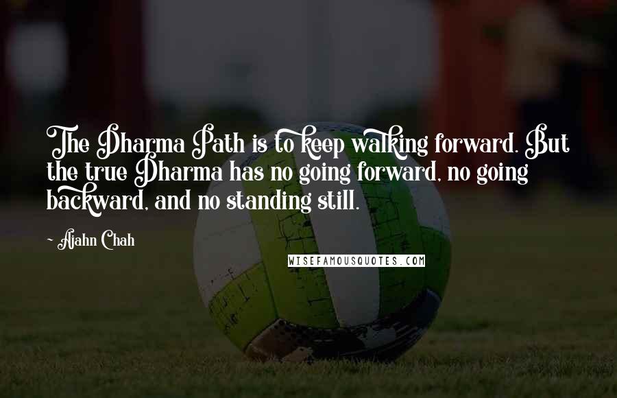Ajahn Chah Quotes: The Dharma Path is to keep walking forward. But the true Dharma has no going forward, no going backward, and no standing still.