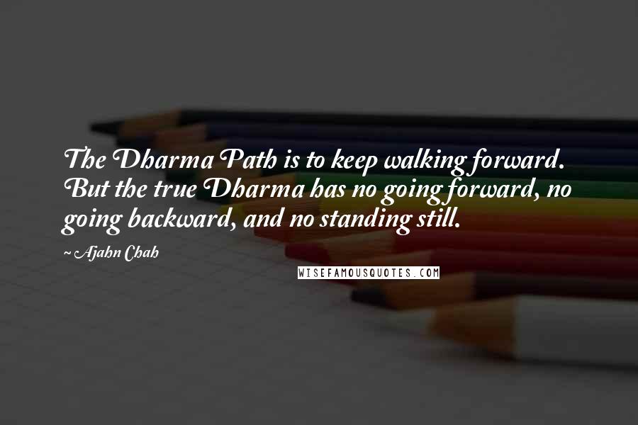 Ajahn Chah Quotes: The Dharma Path is to keep walking forward. But the true Dharma has no going forward, no going backward, and no standing still.