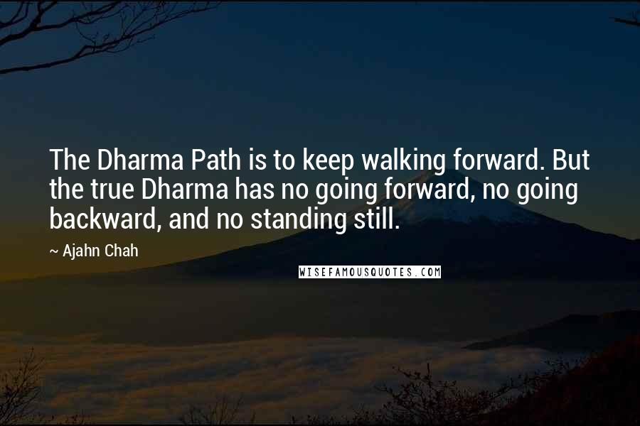 Ajahn Chah Quotes: The Dharma Path is to keep walking forward. But the true Dharma has no going forward, no going backward, and no standing still.