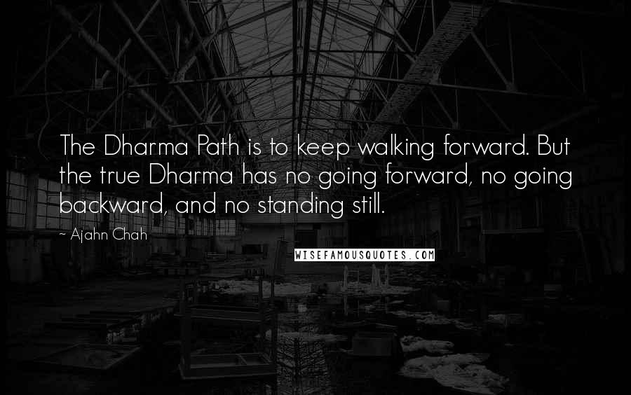 Ajahn Chah Quotes: The Dharma Path is to keep walking forward. But the true Dharma has no going forward, no going backward, and no standing still.