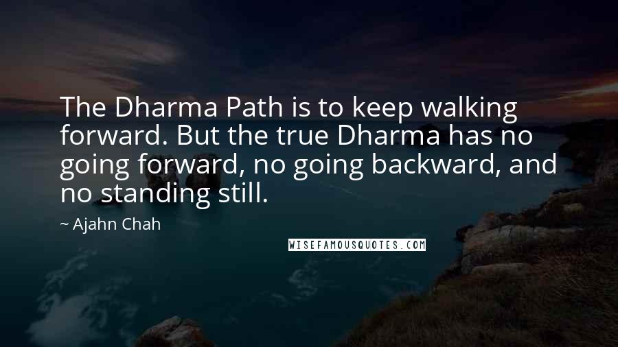 Ajahn Chah Quotes: The Dharma Path is to keep walking forward. But the true Dharma has no going forward, no going backward, and no standing still.