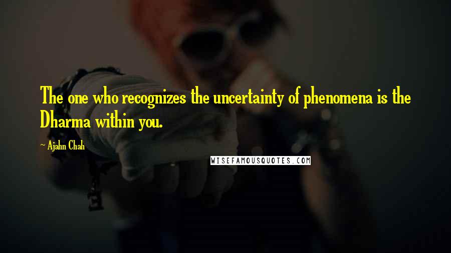 Ajahn Chah Quotes: The one who recognizes the uncertainty of phenomena is the Dharma within you.