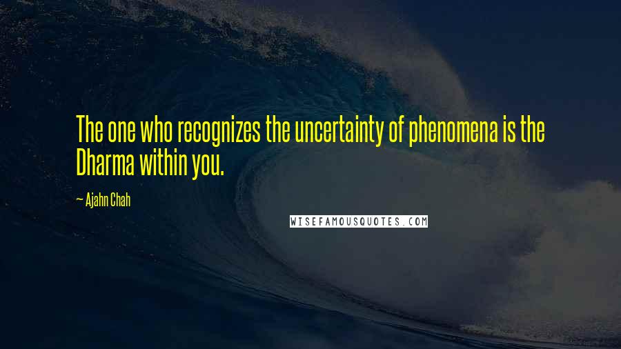 Ajahn Chah Quotes: The one who recognizes the uncertainty of phenomena is the Dharma within you.