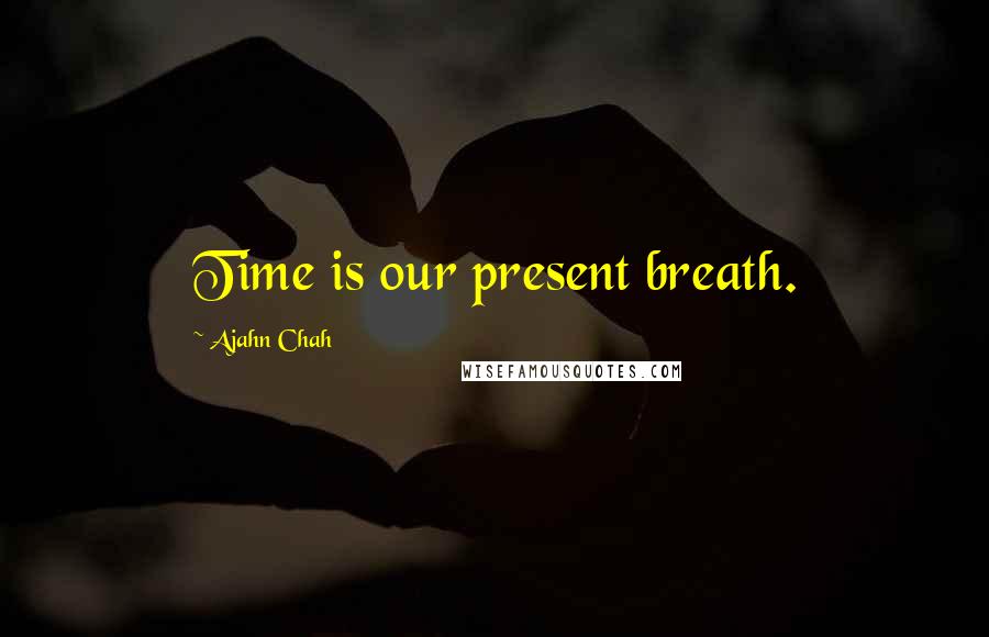 Ajahn Chah Quotes: Time is our present breath.