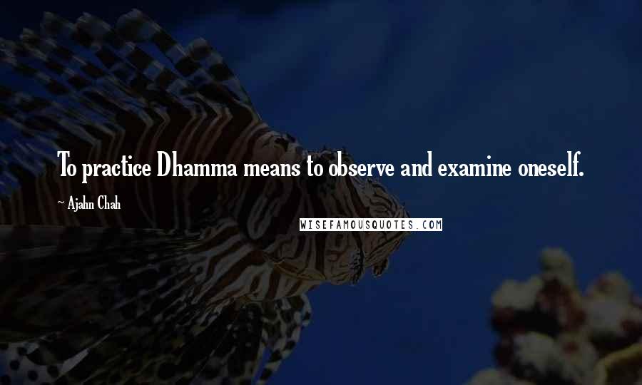 Ajahn Chah Quotes: To practice Dhamma means to observe and examine oneself.