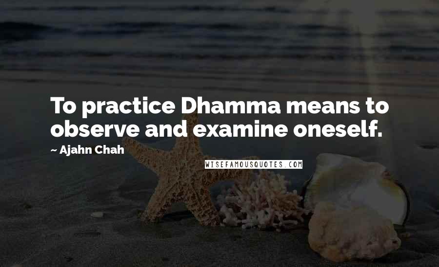 Ajahn Chah Quotes: To practice Dhamma means to observe and examine oneself.