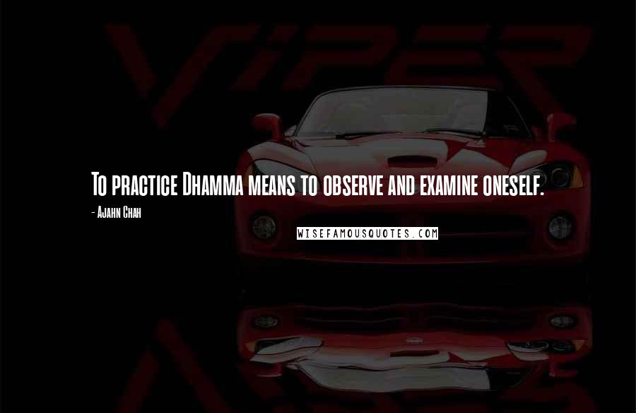 Ajahn Chah Quotes: To practice Dhamma means to observe and examine oneself.