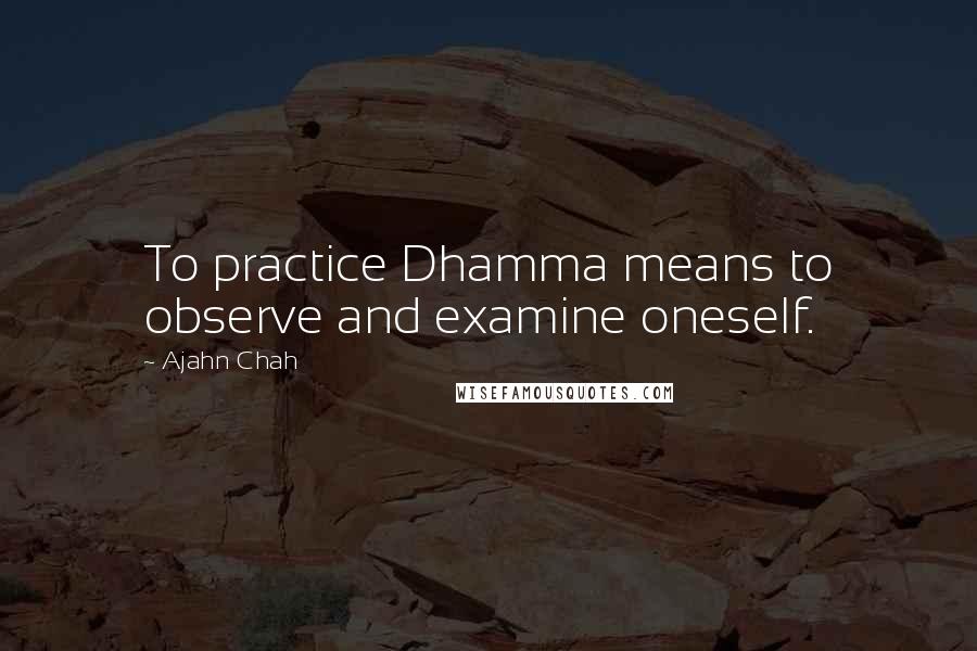 Ajahn Chah Quotes: To practice Dhamma means to observe and examine oneself.