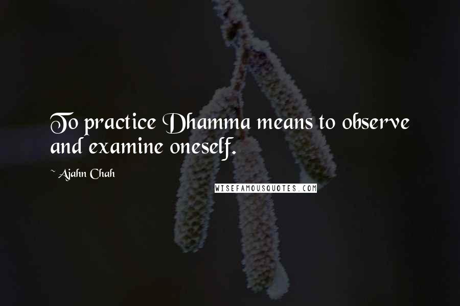 Ajahn Chah Quotes: To practice Dhamma means to observe and examine oneself.