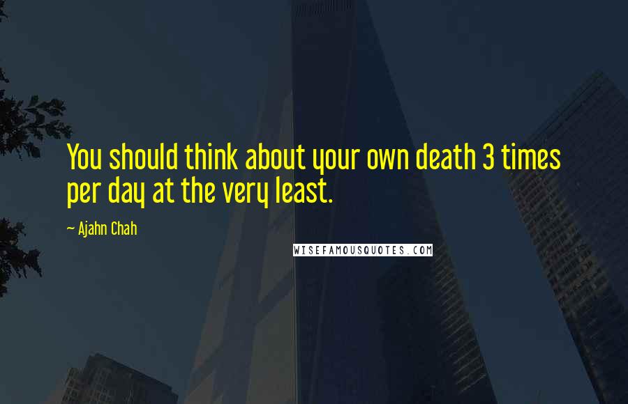 Ajahn Chah Quotes: You should think about your own death 3 times per day at the very least.