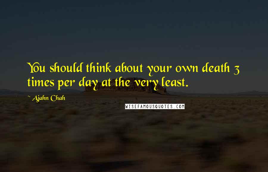 Ajahn Chah Quotes: You should think about your own death 3 times per day at the very least.