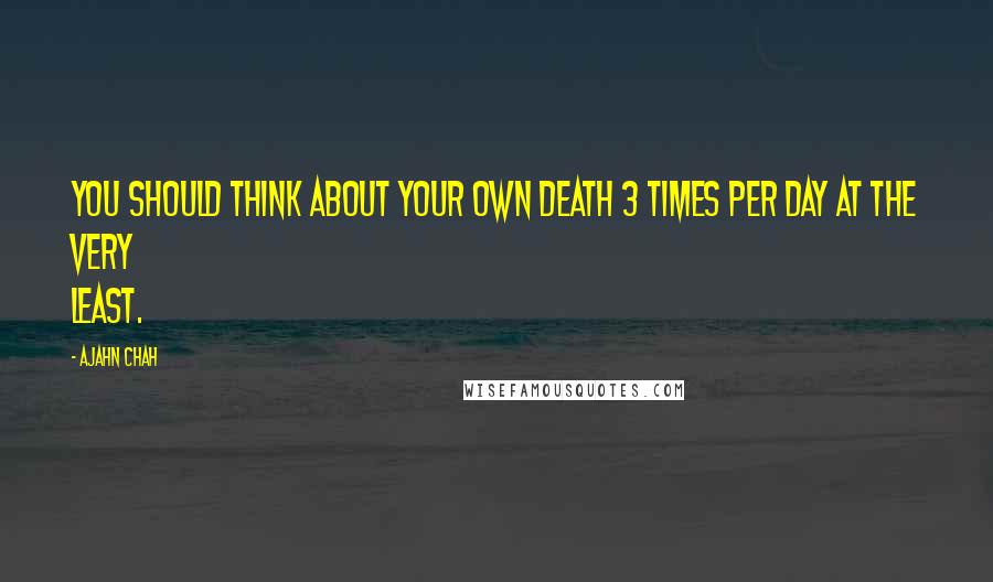 Ajahn Chah Quotes: You should think about your own death 3 times per day at the very least.