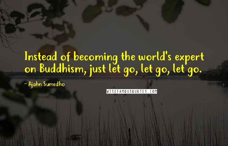 Ajahn Sumedho Quotes: Instead of becoming the world's expert on Buddhism, just let go, let go, let go.