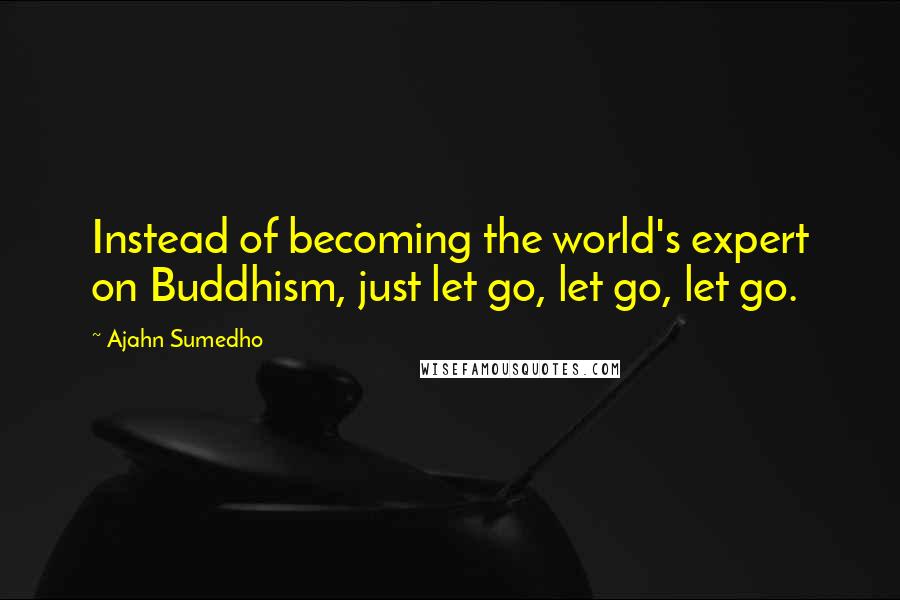 Ajahn Sumedho Quotes: Instead of becoming the world's expert on Buddhism, just let go, let go, let go.