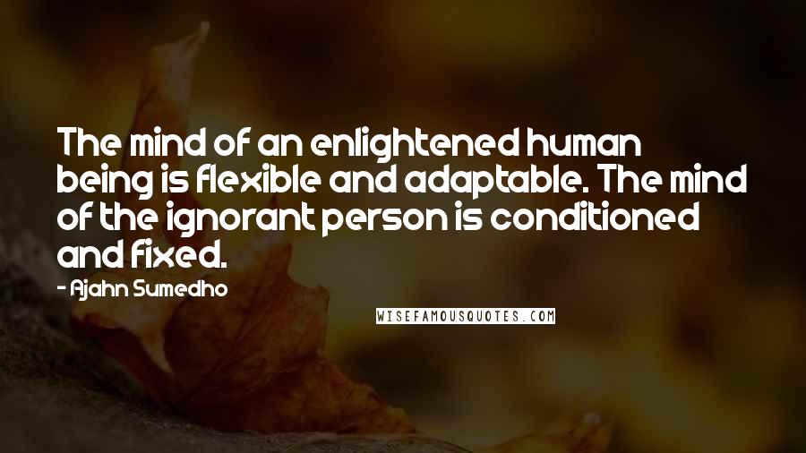Ajahn Sumedho Quotes: The mind of an enlightened human being is flexible and adaptable. The mind of the ignorant person is conditioned and fixed.