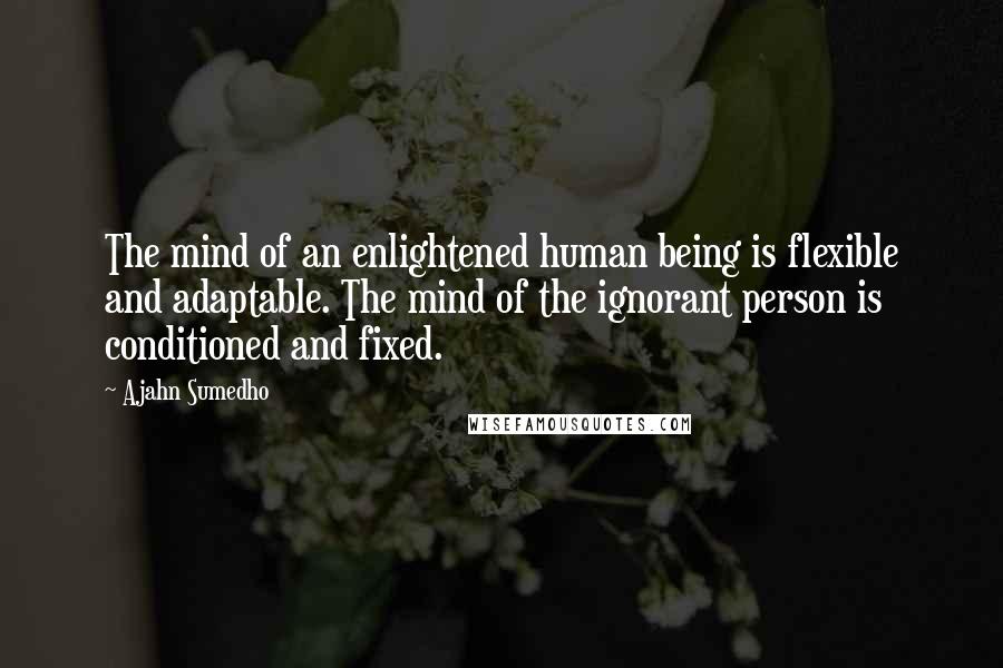 Ajahn Sumedho Quotes: The mind of an enlightened human being is flexible and adaptable. The mind of the ignorant person is conditioned and fixed.