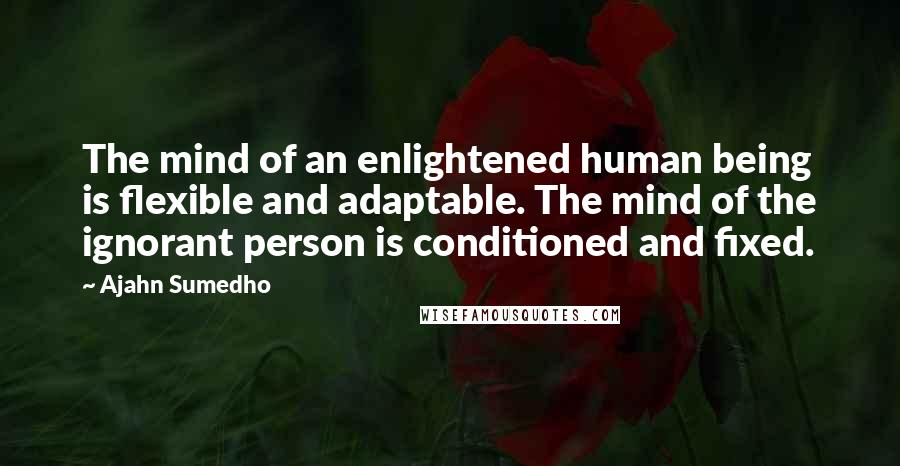 Ajahn Sumedho Quotes: The mind of an enlightened human being is flexible and adaptable. The mind of the ignorant person is conditioned and fixed.