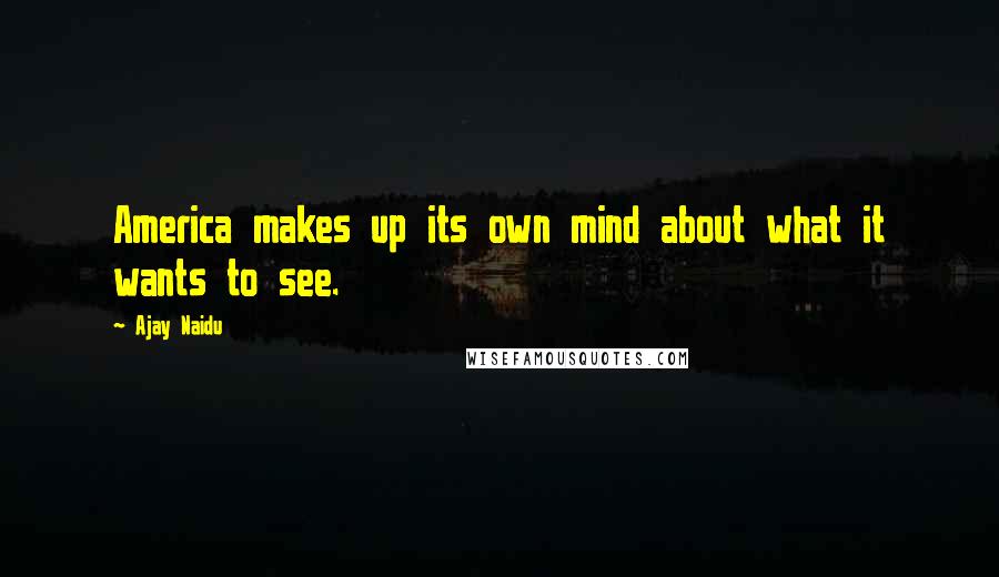 Ajay Naidu Quotes: America makes up its own mind about what it wants to see.