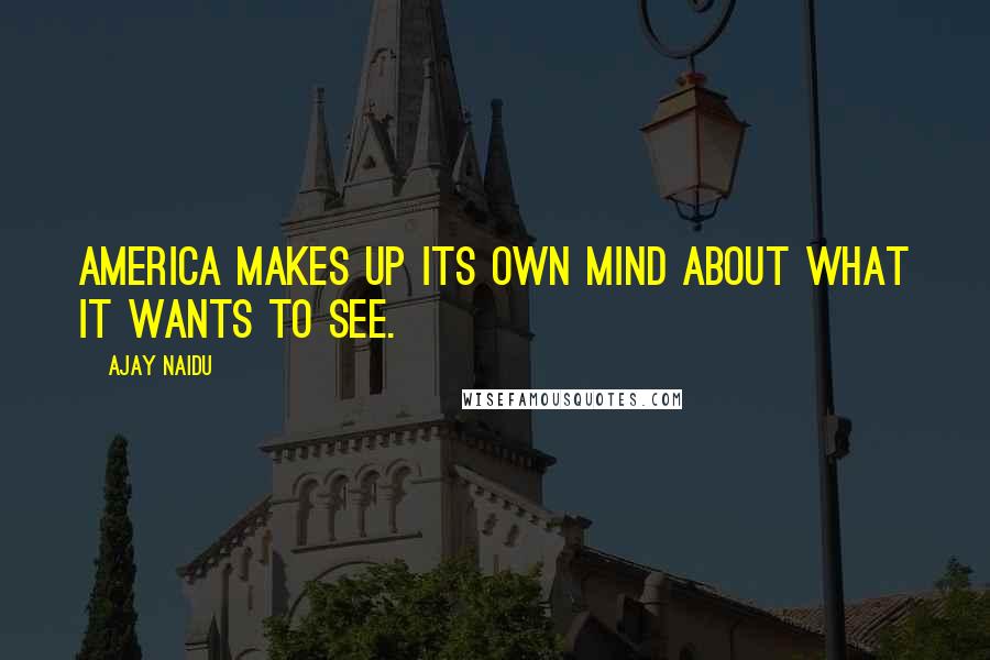 Ajay Naidu Quotes: America makes up its own mind about what it wants to see.