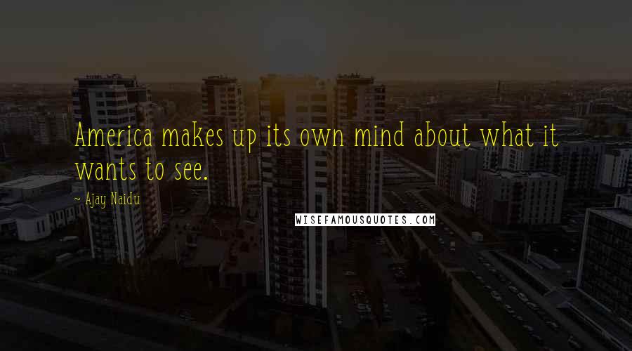 Ajay Naidu Quotes: America makes up its own mind about what it wants to see.