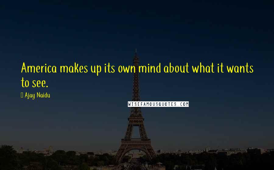 Ajay Naidu Quotes: America makes up its own mind about what it wants to see.