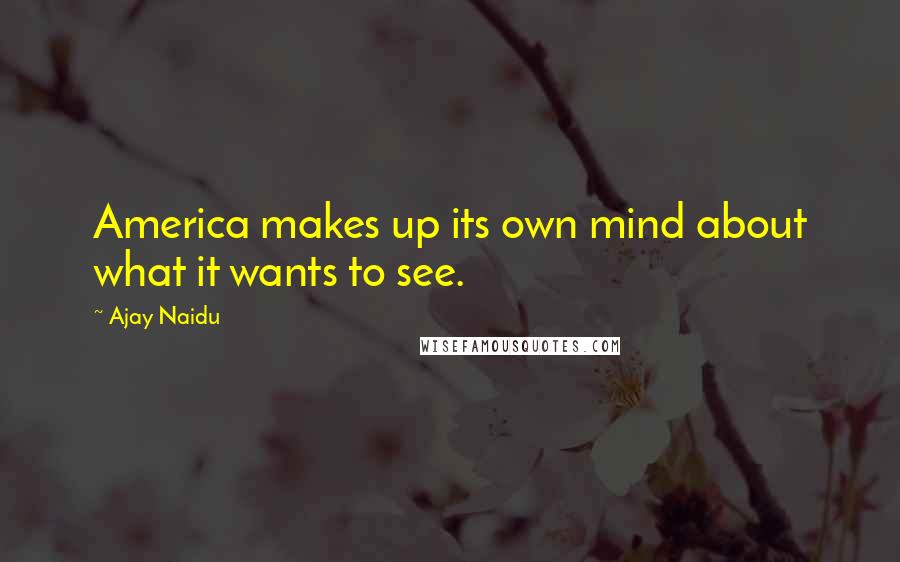 Ajay Naidu Quotes: America makes up its own mind about what it wants to see.