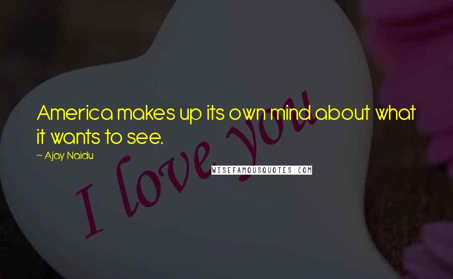 Ajay Naidu Quotes: America makes up its own mind about what it wants to see.
