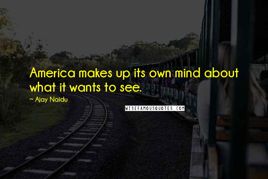 Ajay Naidu Quotes: America makes up its own mind about what it wants to see.