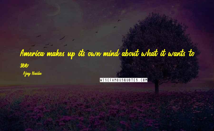 Ajay Naidu Quotes: America makes up its own mind about what it wants to see.