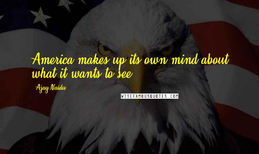 Ajay Naidu Quotes: America makes up its own mind about what it wants to see.