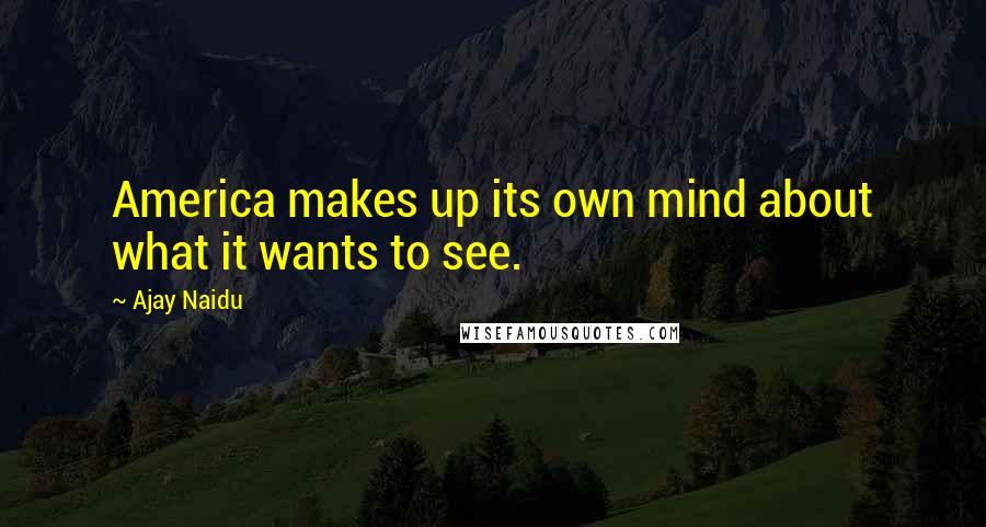 Ajay Naidu Quotes: America makes up its own mind about what it wants to see.