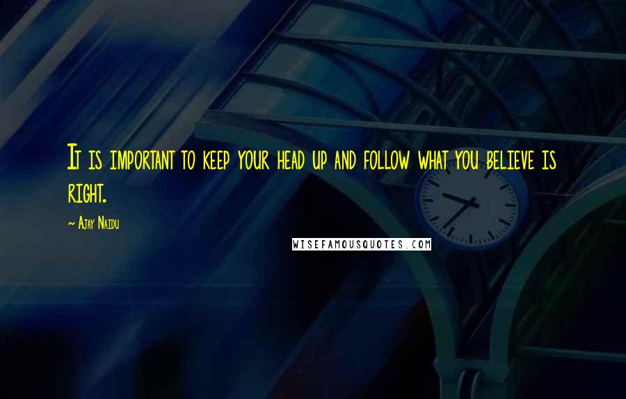 Ajay Naidu Quotes: It is important to keep your head up and follow what you believe is right.