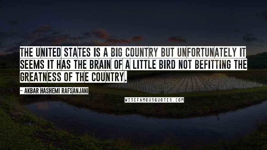 Akbar Hashemi Rafsanjani Quotes: The United States is a big country but unfortunately it seems it has the brain of a little bird not befitting the greatness of the country.