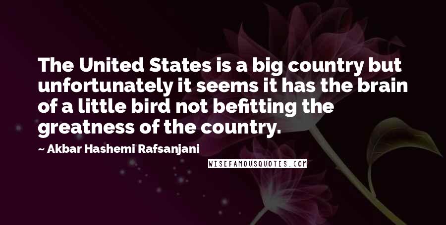 Akbar Hashemi Rafsanjani Quotes: The United States is a big country but unfortunately it seems it has the brain of a little bird not befitting the greatness of the country.