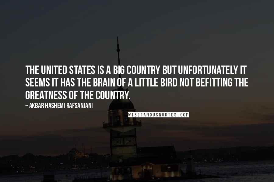 Akbar Hashemi Rafsanjani Quotes: The United States is a big country but unfortunately it seems it has the brain of a little bird not befitting the greatness of the country.