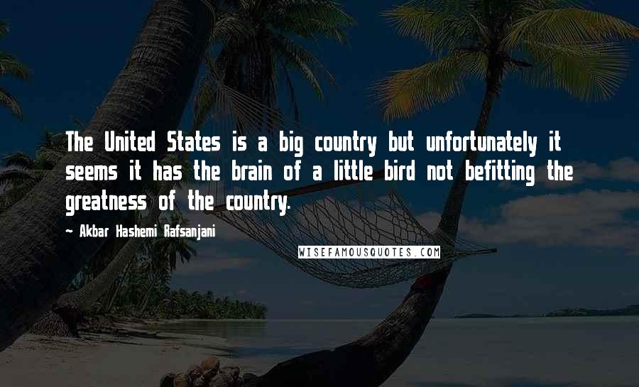 Akbar Hashemi Rafsanjani Quotes: The United States is a big country but unfortunately it seems it has the brain of a little bird not befitting the greatness of the country.